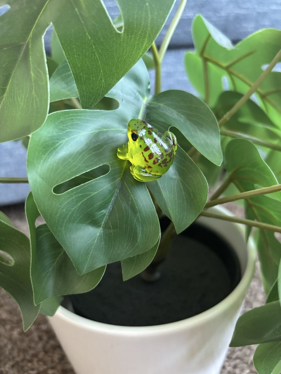 Adorable Frog Plant Pet Magnets - Lots available!