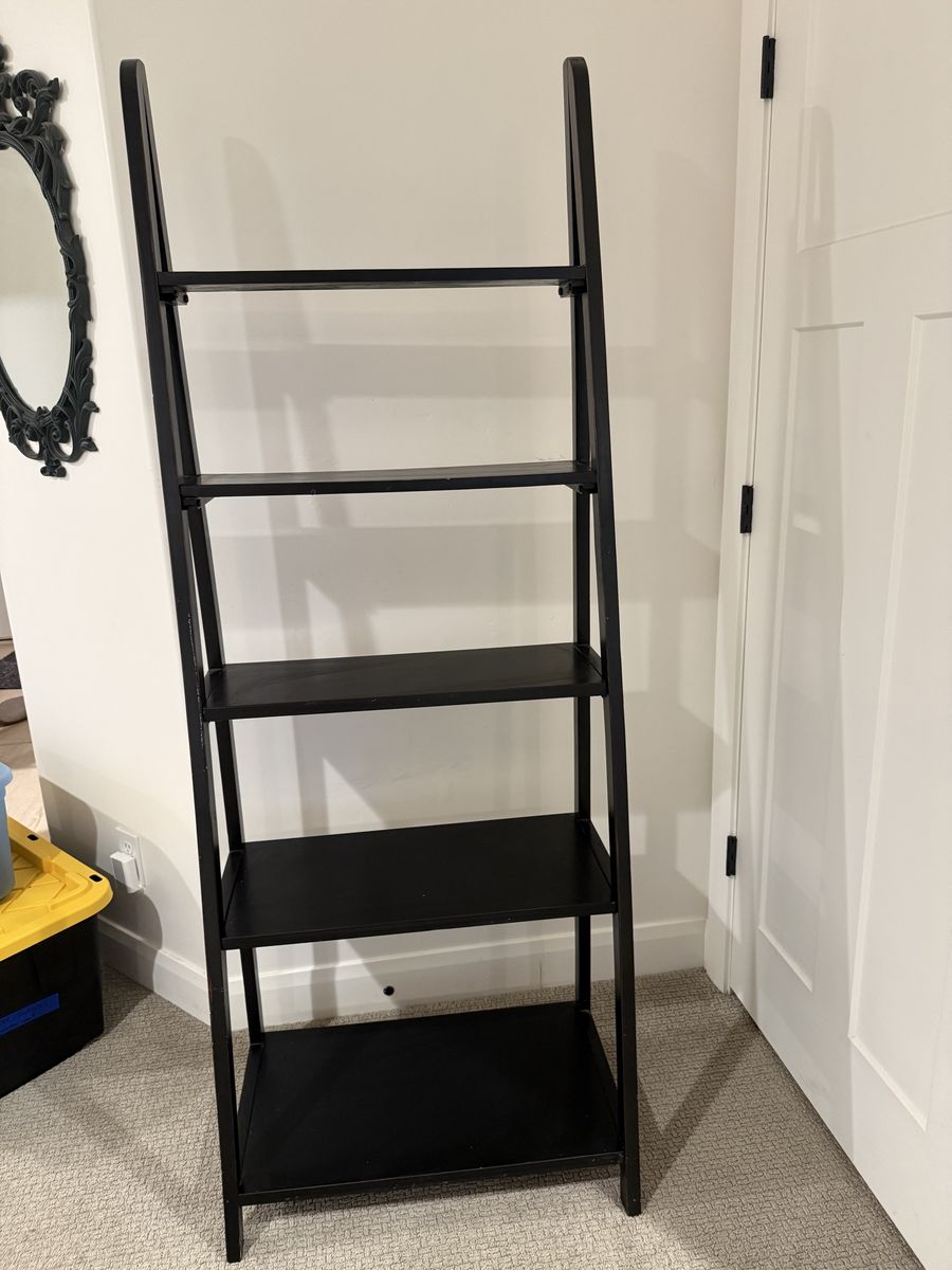 Ladder shelf