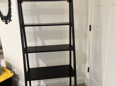 Ladder shelf