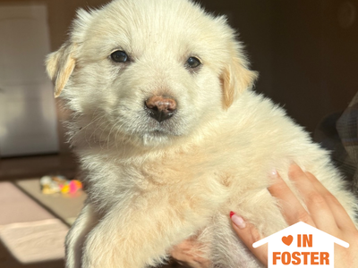 Hello my name is Bao