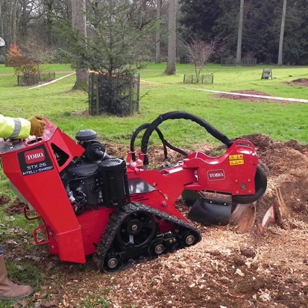 Stump Grinder For Rent