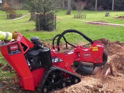 Stump Grinder For Rent