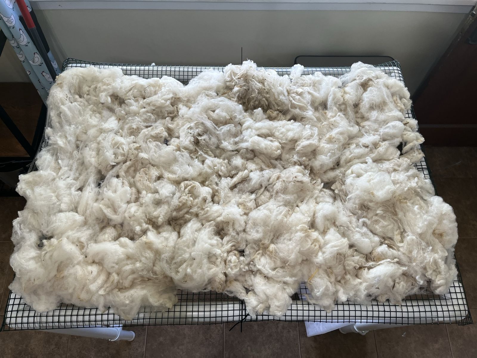 Washed Raw Sheep Wool - Natural Cream Color for Crafting/Spinning, Various Bag Sizes