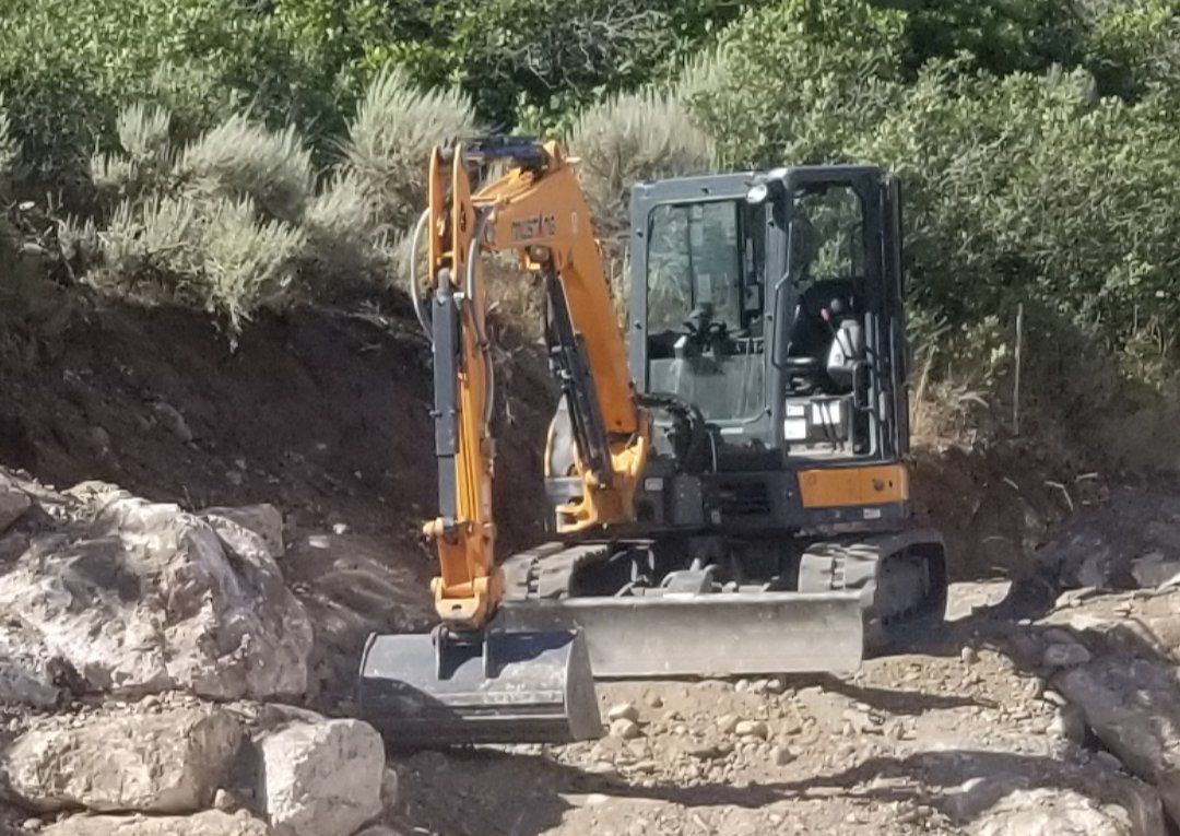 Yanmar 55