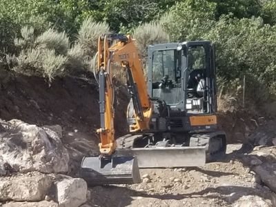 Yanmar 55