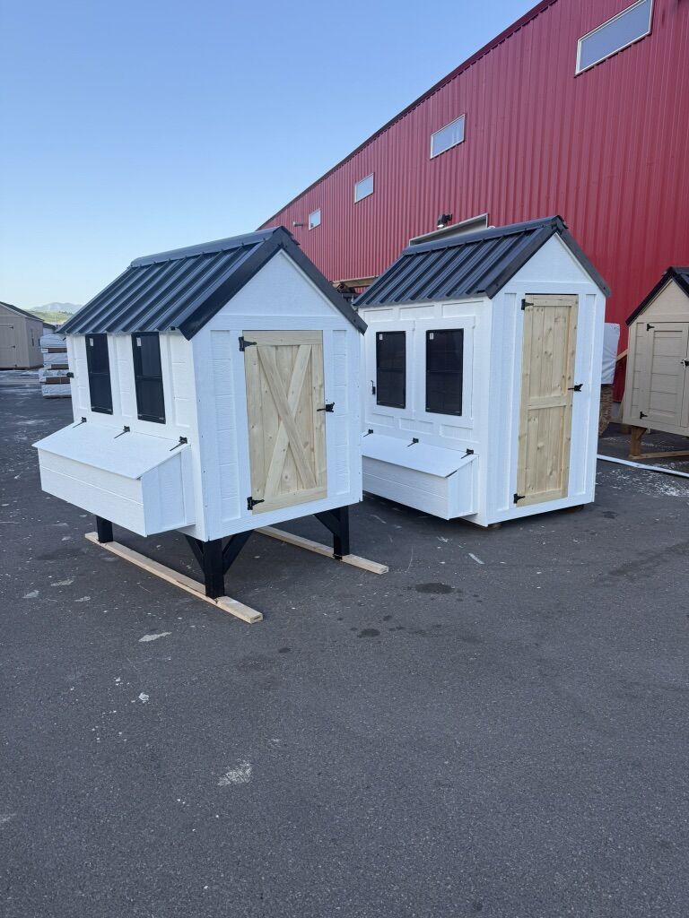 5x6 Chicken Coop