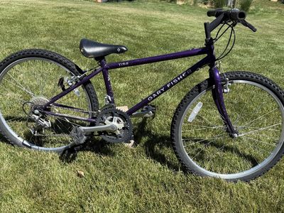 Gary Fisher 24” Tyro Mountain Bike - Purple, Used