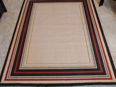 5 x 7 Area Rug. Like new!