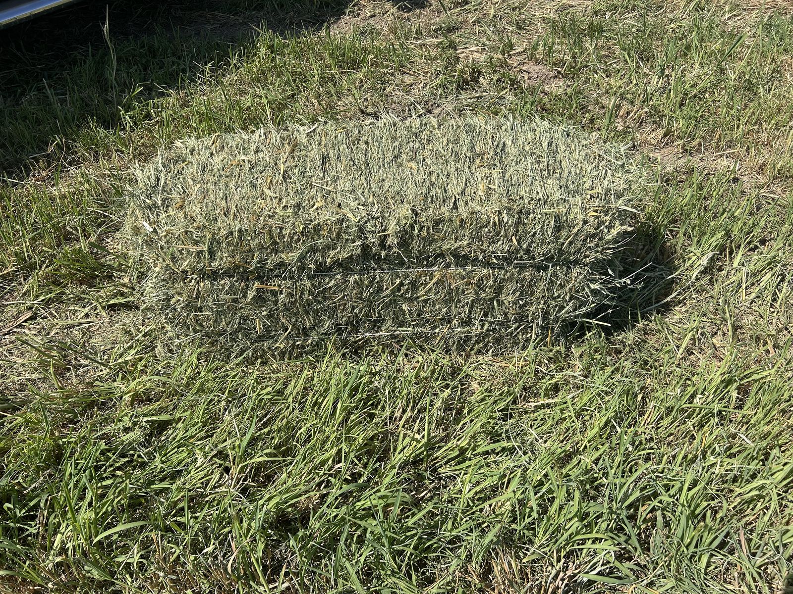 Main image 2