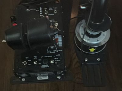 Warthog HOTAS Flight sim & TrackIR