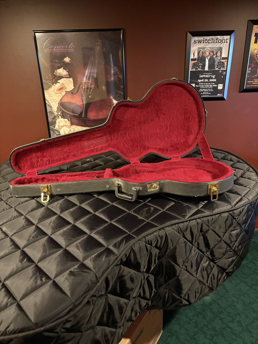 "Relic'd" GIbson 335 case