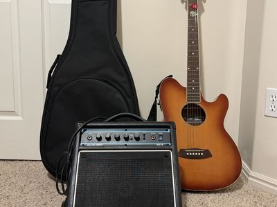 Ibanez Talman Acoustic/Electric Guitar Bundle with Acoustic Amplifier and Gig Bag