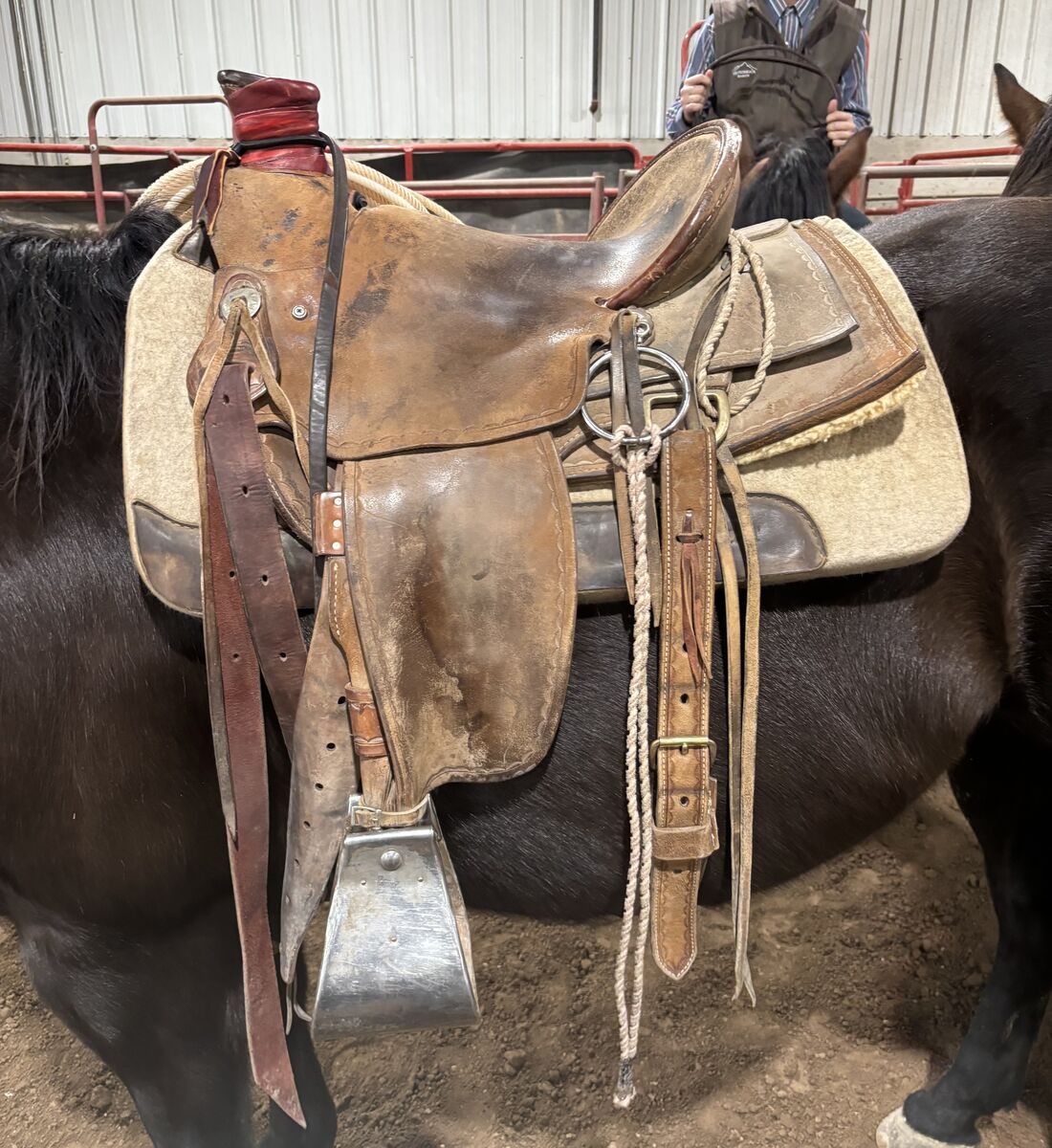 Ranch Saddle