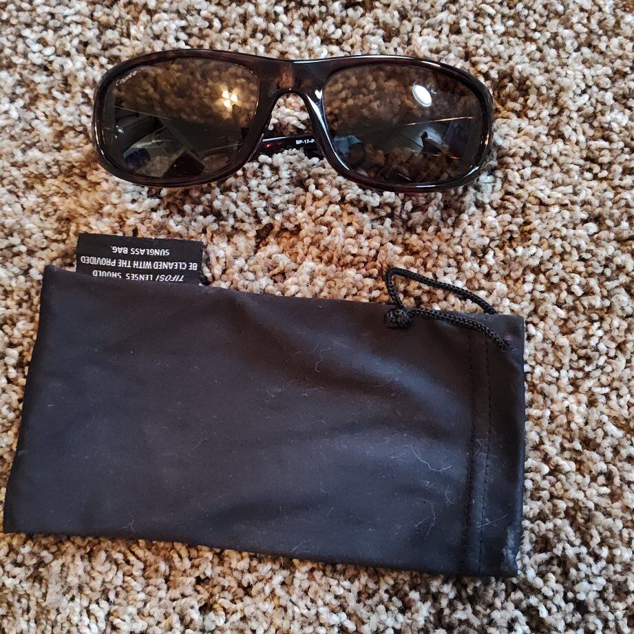 polarized fly fishing sunglasses with +2.0 reader bifocal