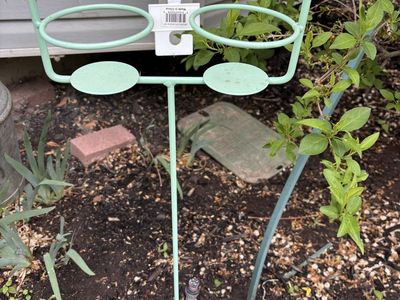 Cute Mint Green Yard Decor