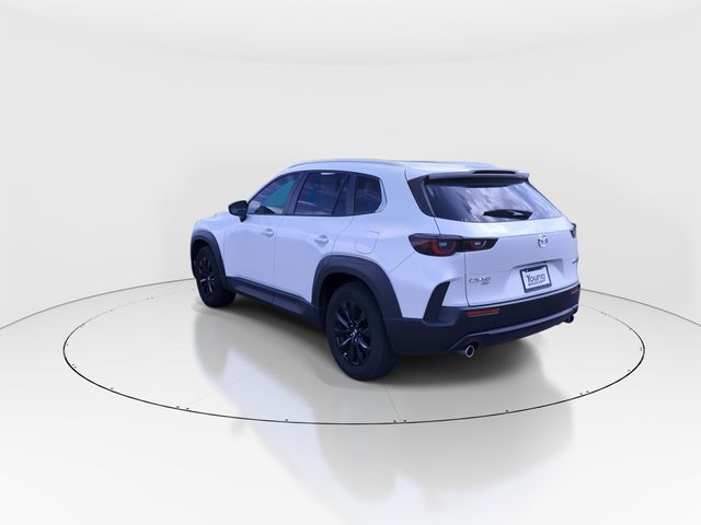 Main image 6