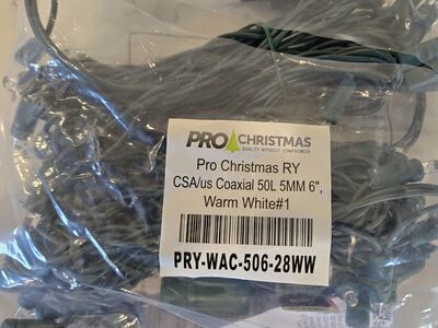 Case of Commercial Christmas Lights