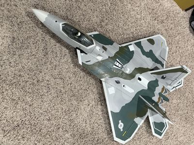 Custom Freewing F22 70mm EDF RC JET