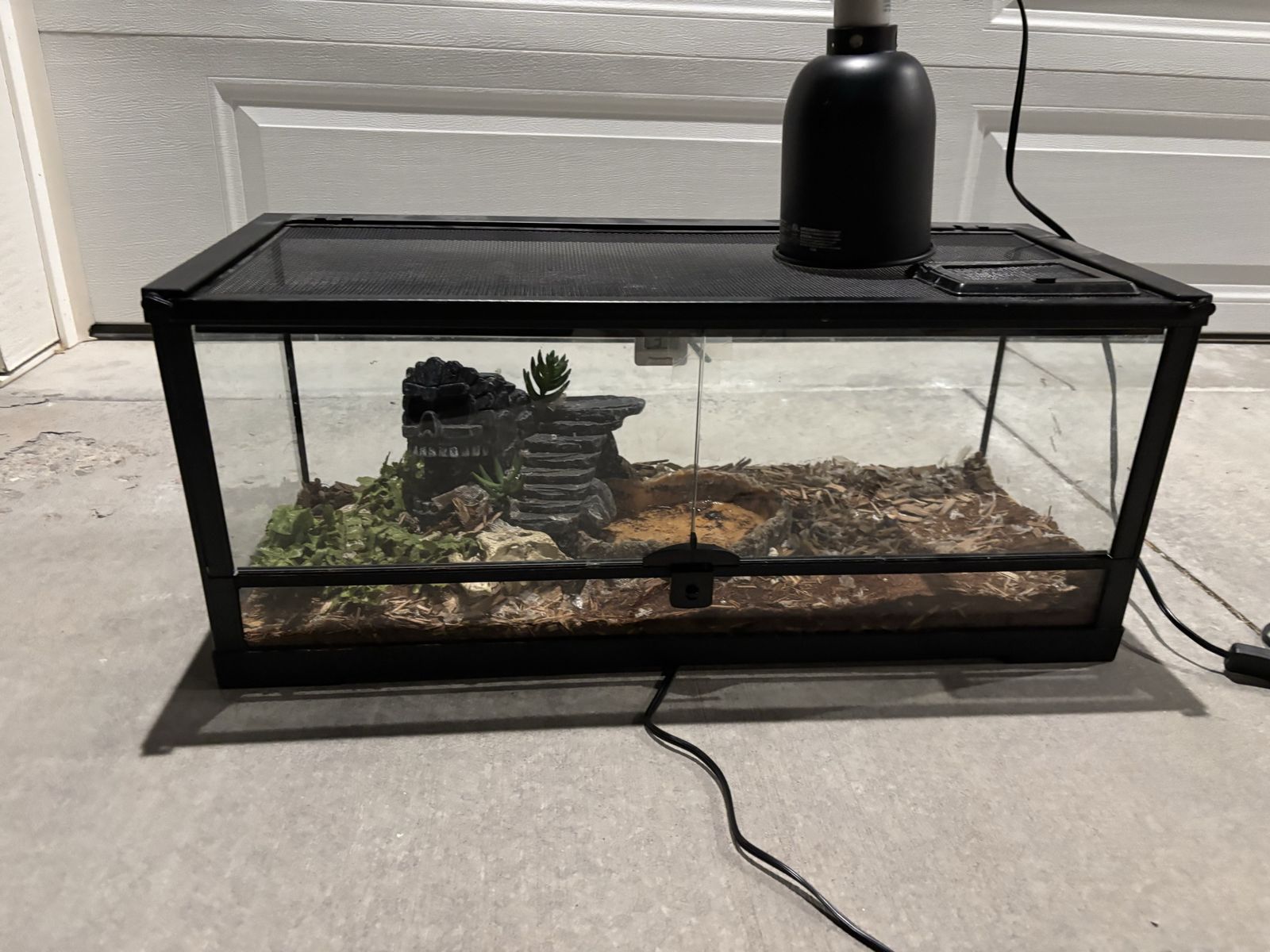 20-Gallon Reptile Starter Kit – Ready to Go!