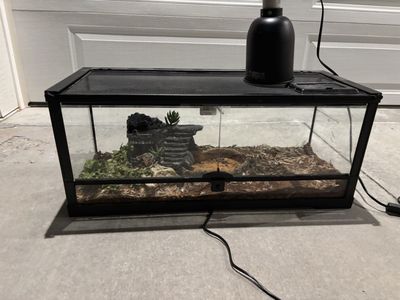 20-Gallon Reptile Starter Kit – Ready to Go!