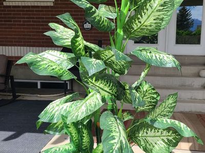 Beautiful artificial large plant