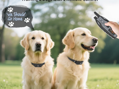 New in box Dog Shock Collar 2 Dogs