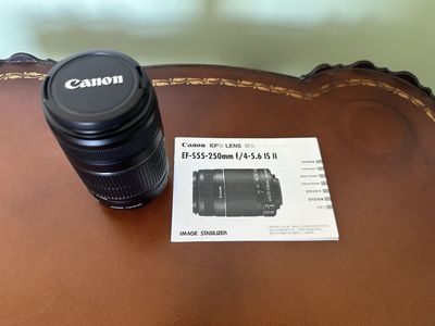 Canon EF-S55-250mm f/4-5.6 IS II Lens