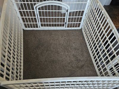 dog pen