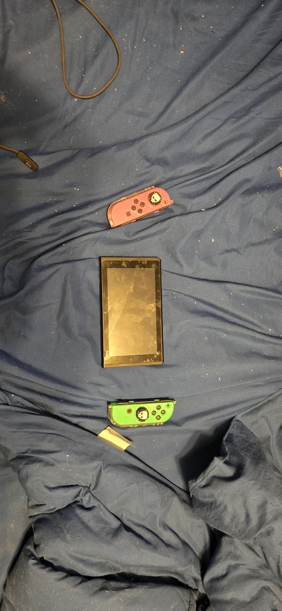 Custom Nintendo switch