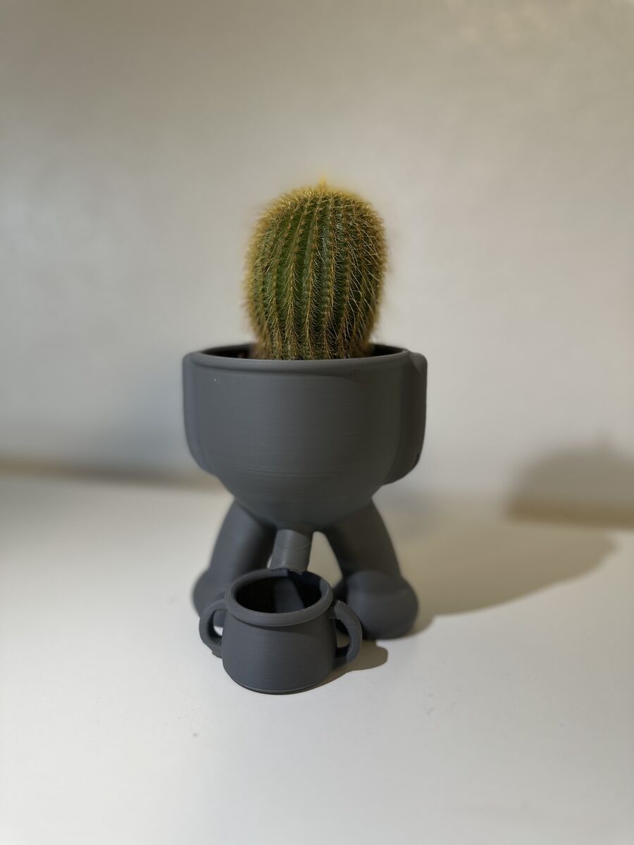 Cactus