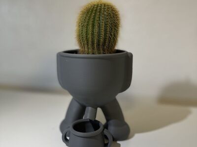 Cactus