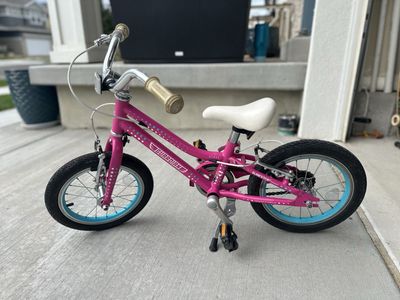 Guardian kids bike 14inch