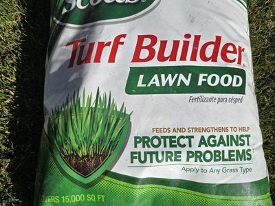 Scotts Turf Builder Lawn Food