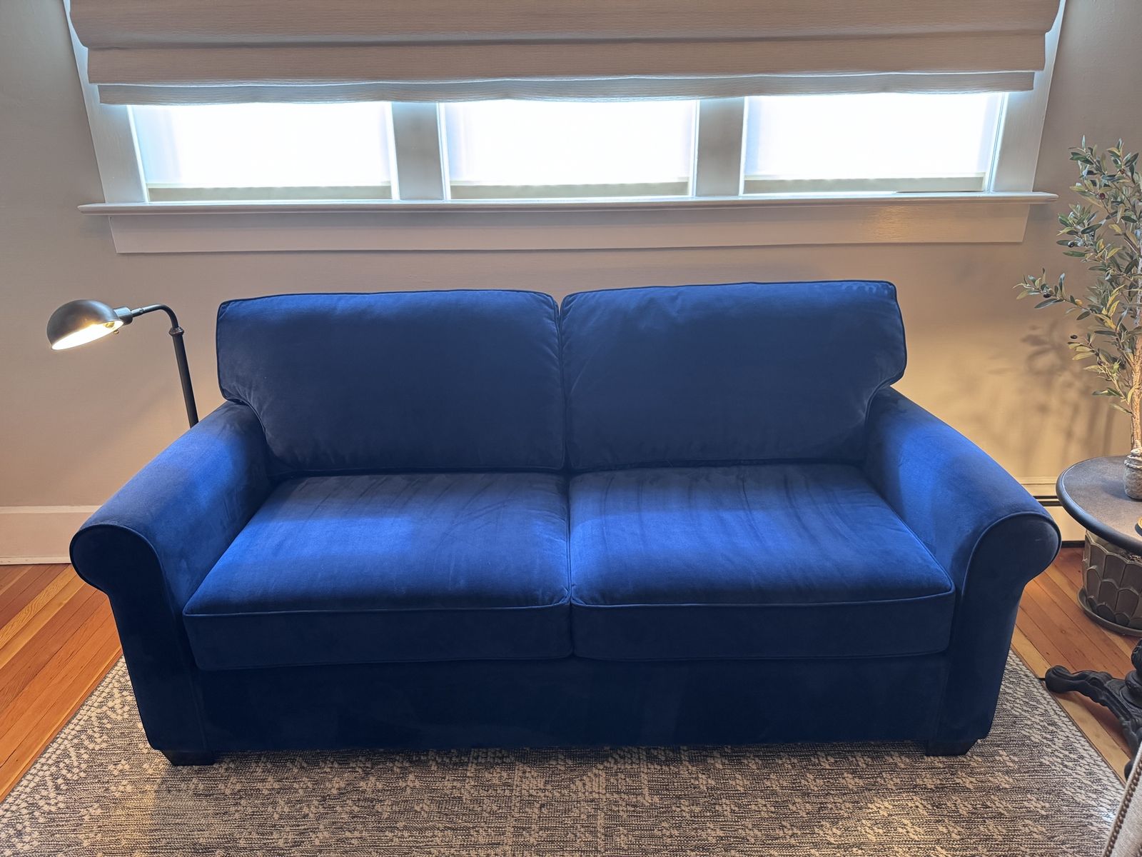 Blue Velvet Sofa/Loveseat