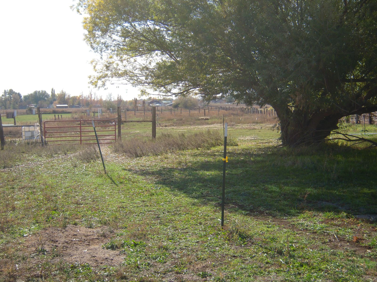HORSE PASTURE FOR LEASE - HARRISVILLE/ODEN AREA