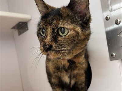 Hello my name is Quinn