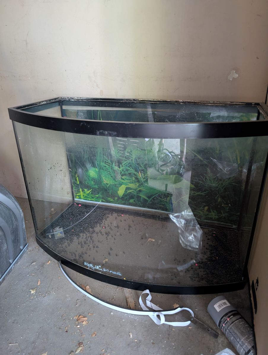 Fish tank