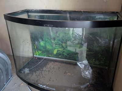 Fish tank