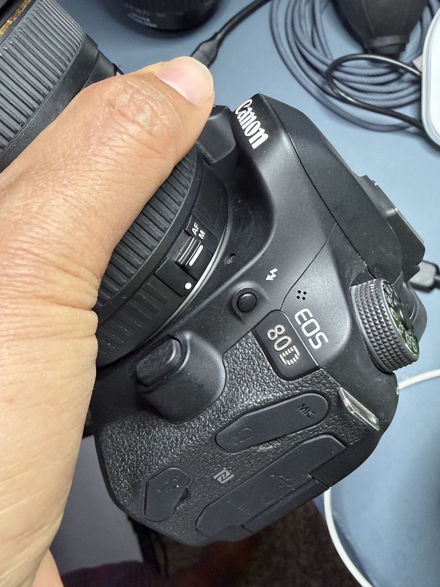 Canon 80D, 600 shots, ef 24-105L f4