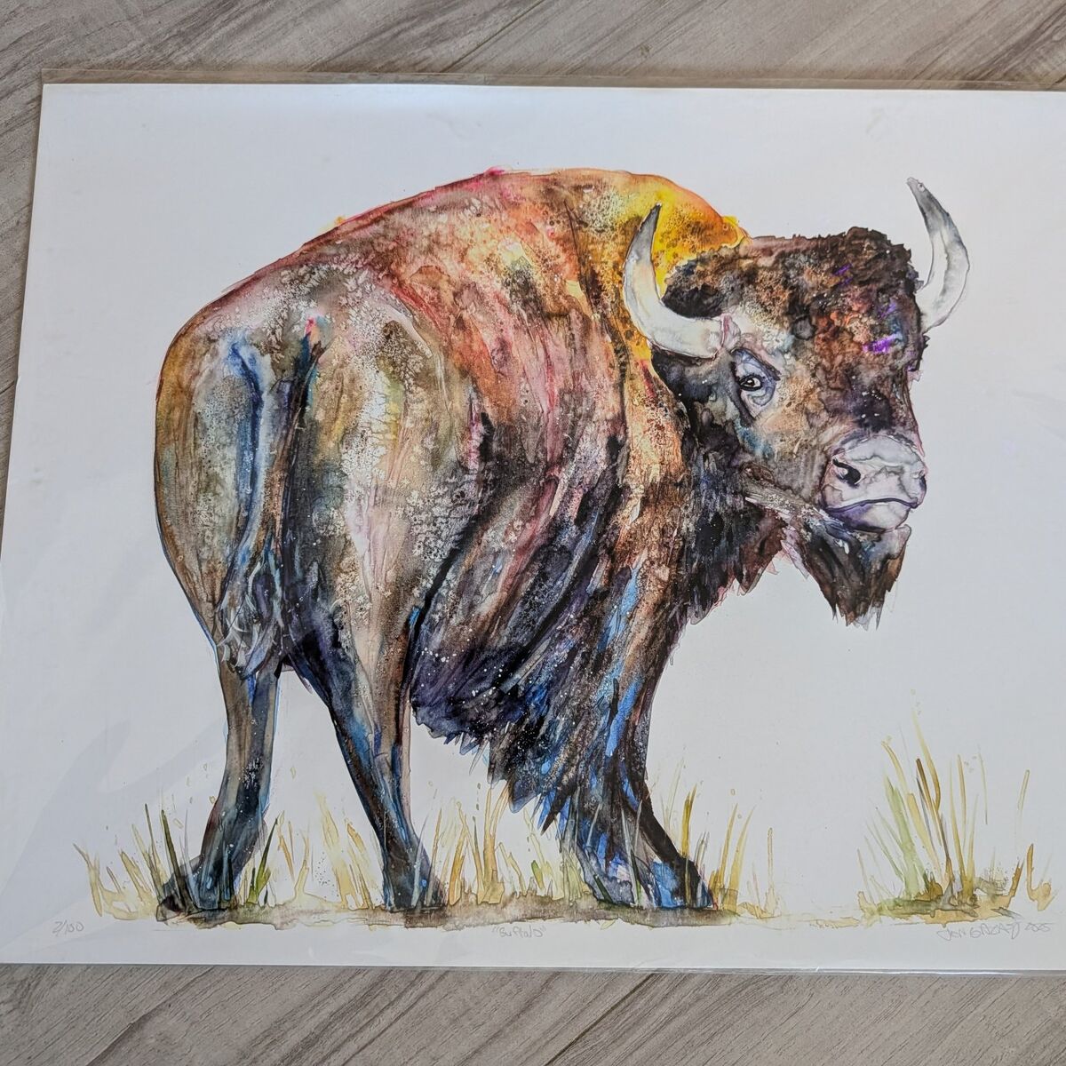 Water Color Buffalo Painting