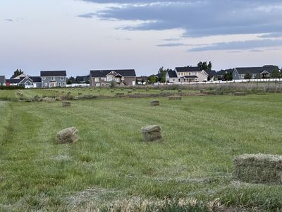 Small bales of grass