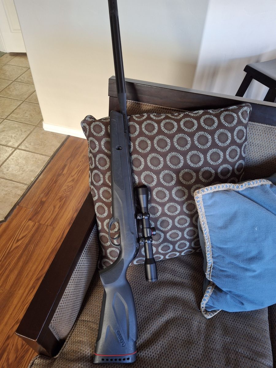 Gamo .177 pellet gun