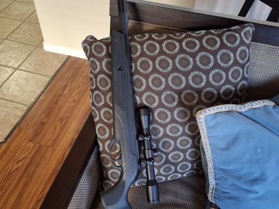 Gamo .177 pellet gun