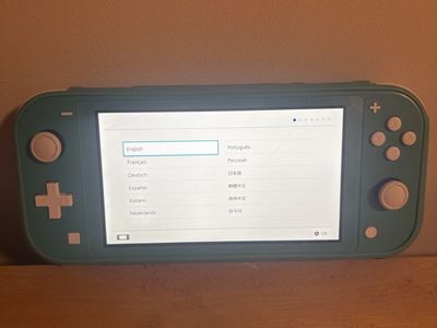 Nintendo switch lite
