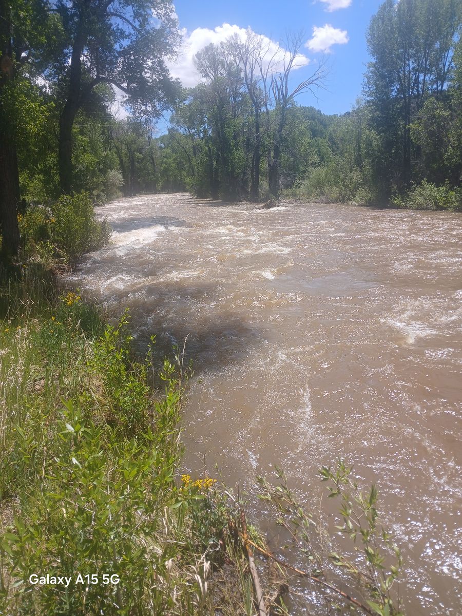 Main image 11