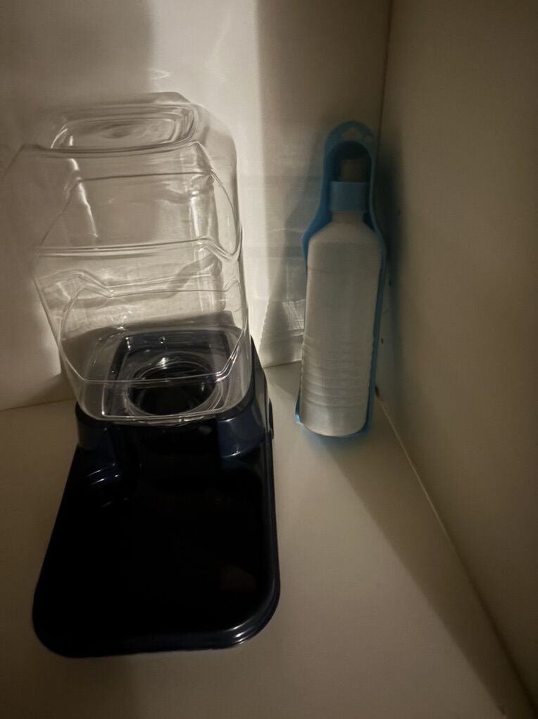 water bowl for dog or cat