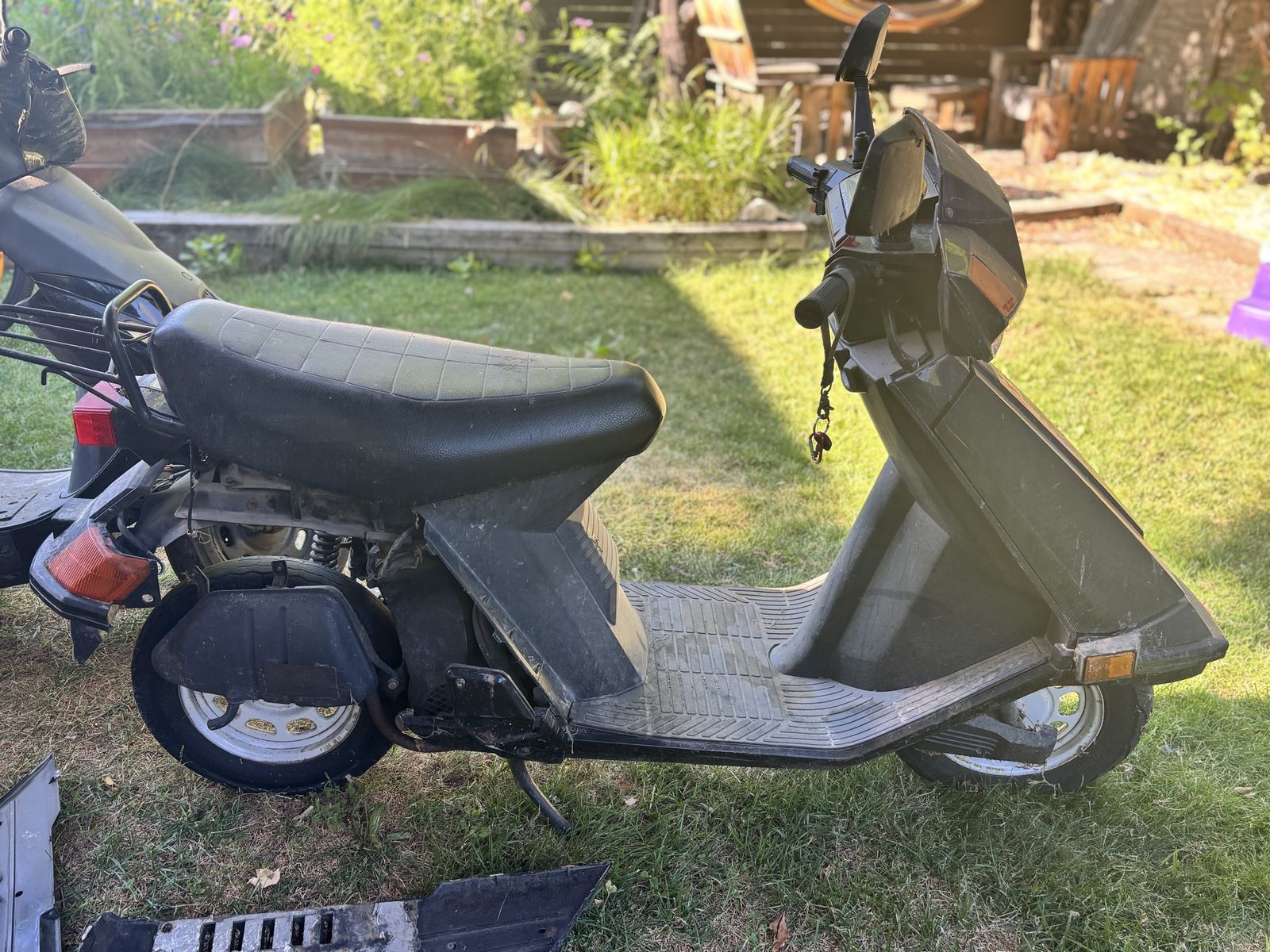 Vintage Honda Scooter (Model Unknown) - Classic Black Moped for Parts/Restoration