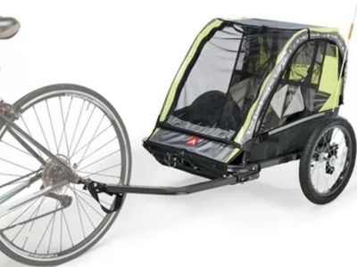 Allen Sports Steel 2-Child Bike Trailer Cargo