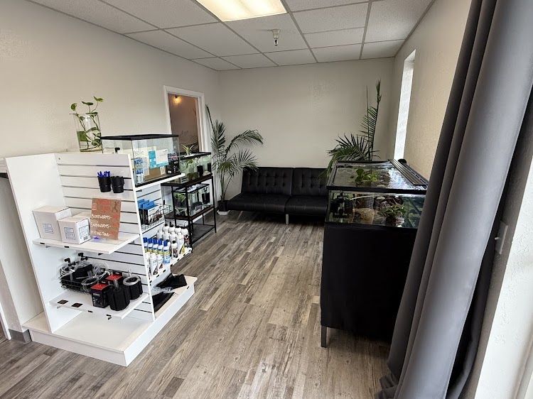 Retail Display