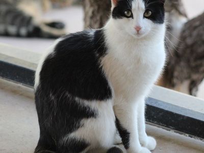 Hello my name is Elevation